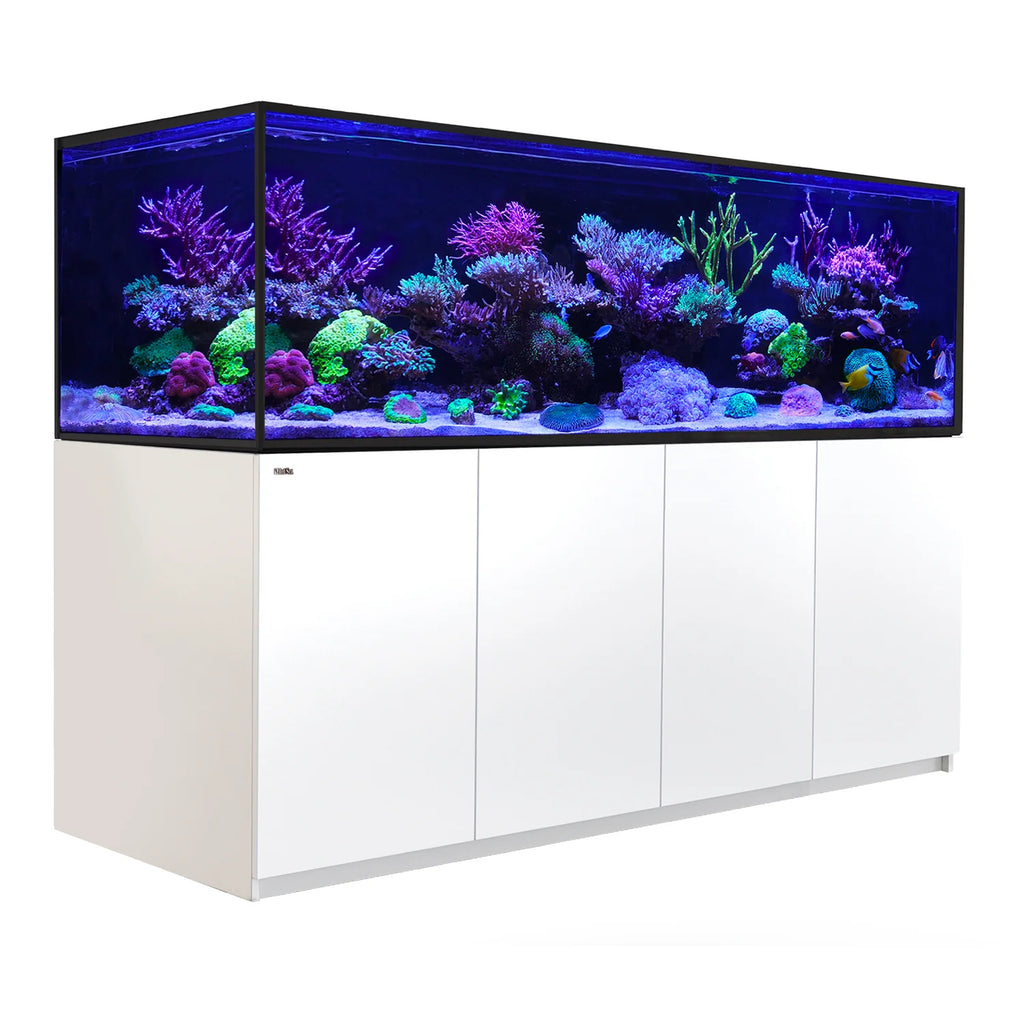 REEFER S-1000 G3 White