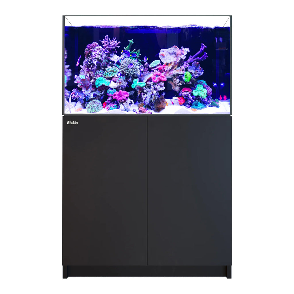 REEFER 300 G3 Black