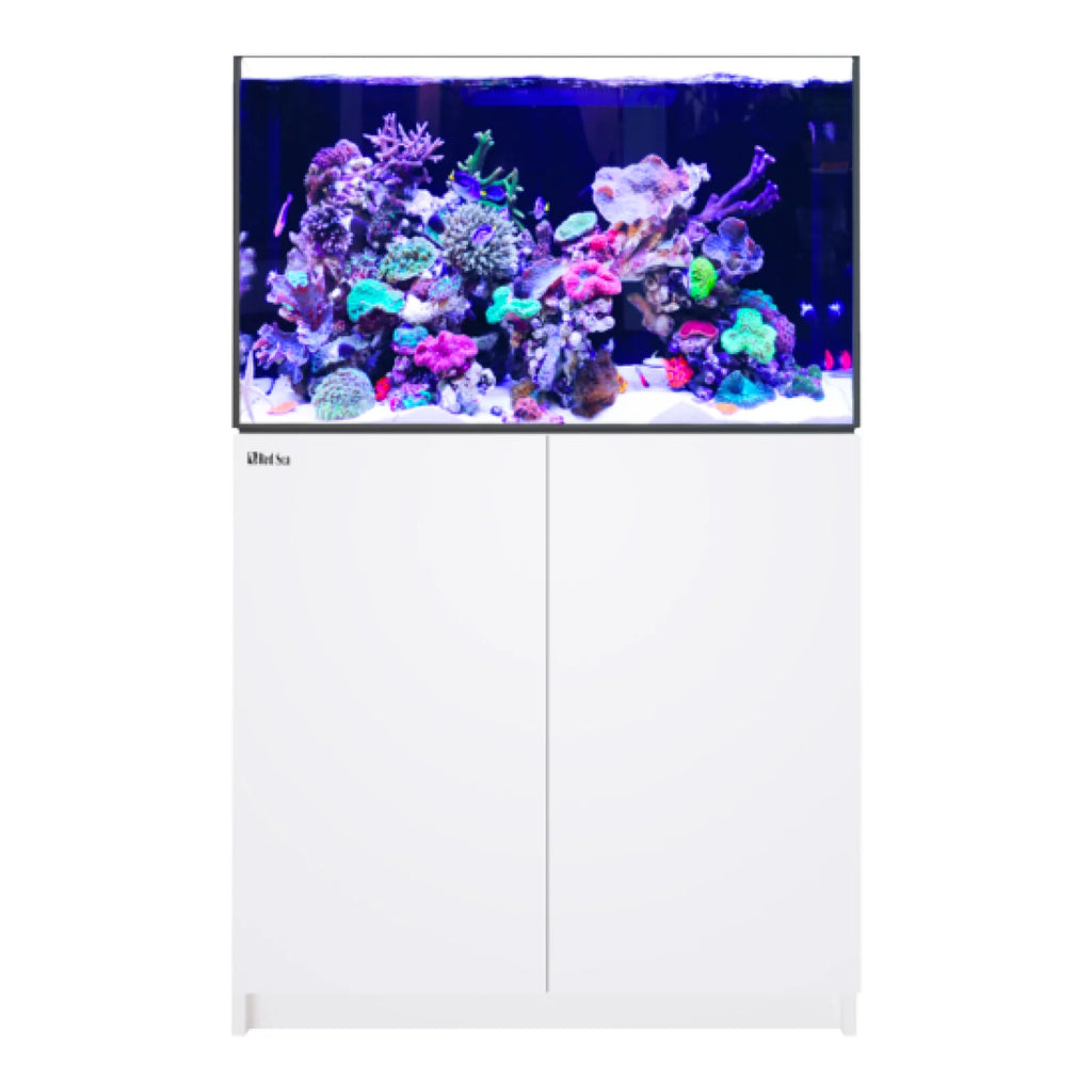 REEFER 300 G3 Deluxe - White (incl. 2 X RL115 & arms)