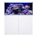 REEFER 425 G3 White