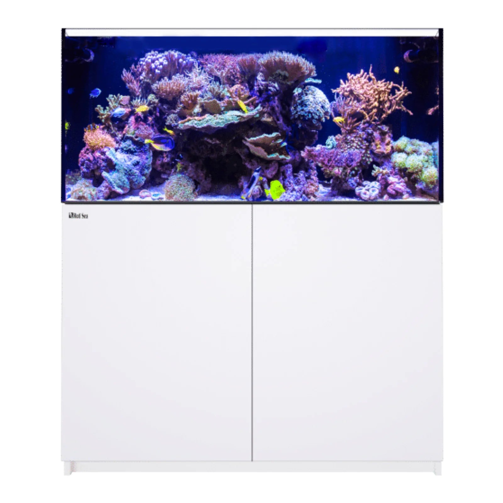 REEFER MAX 425 G3 White