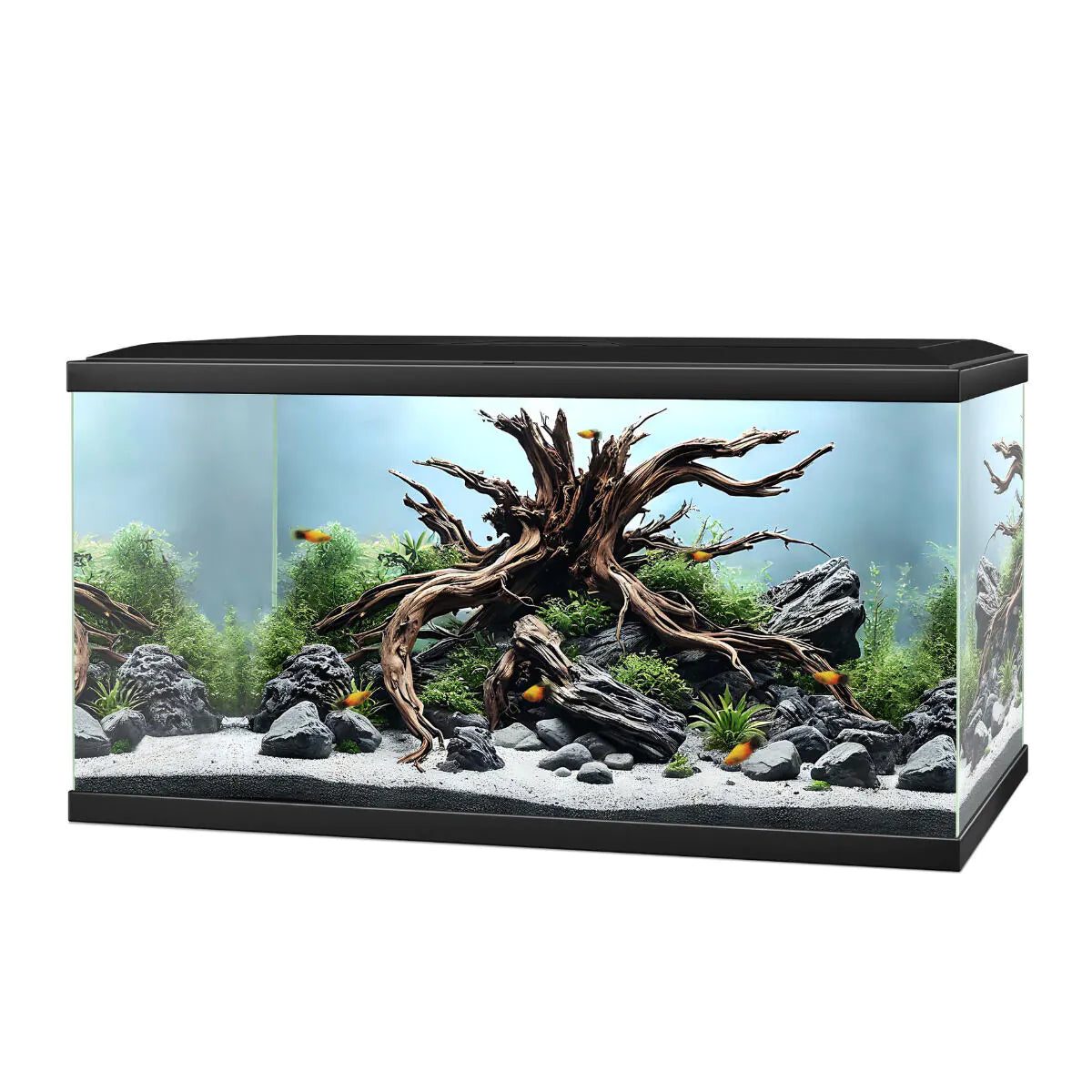 Ciano Aqua 60 Black