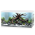 Ciano Aqua 60 LED White