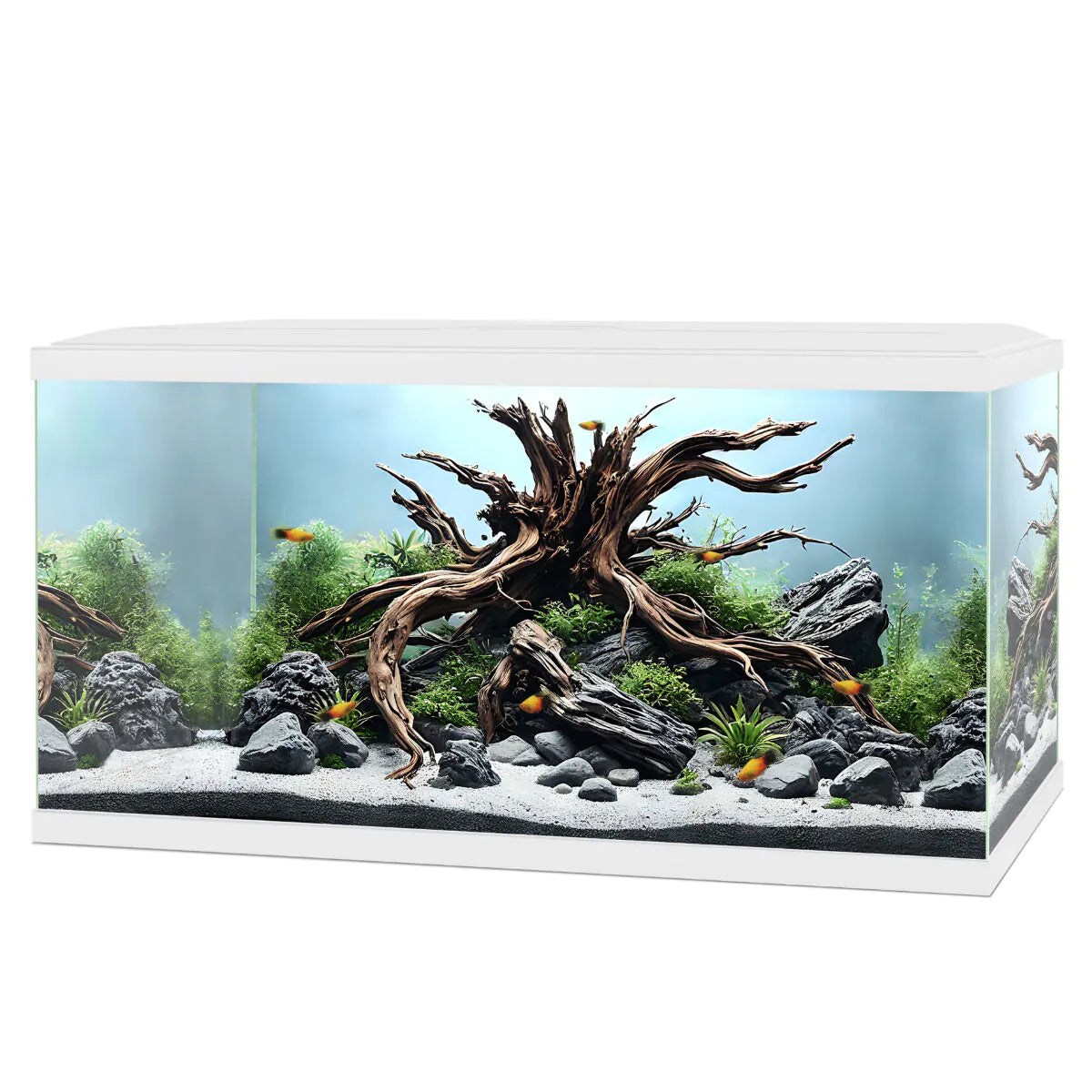 Ciano Aqua 60 LED White
