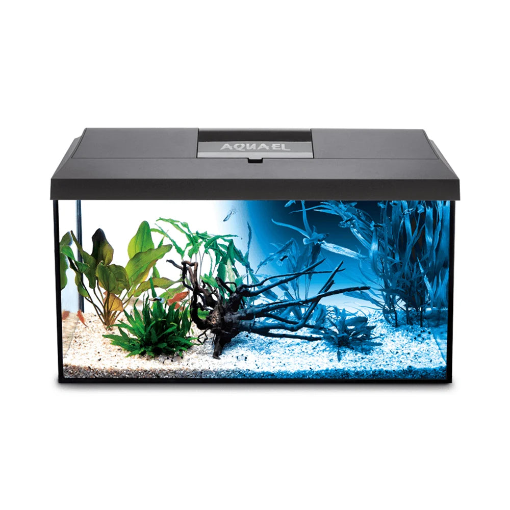 Aquael Leddy 60 White 54 Litres