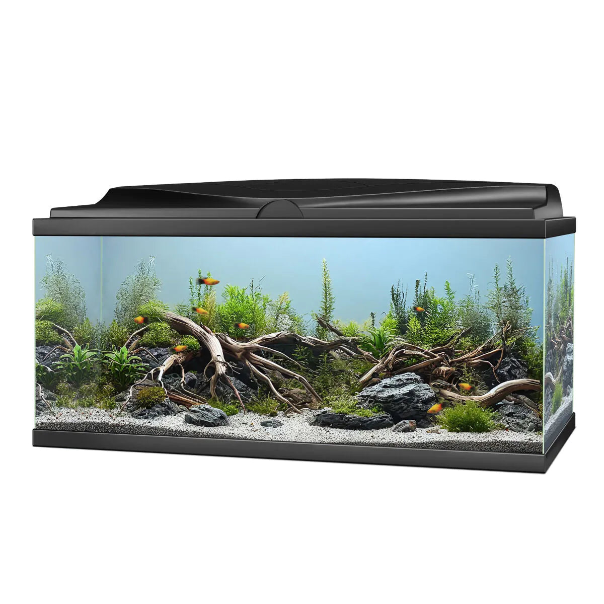 Ciano Aqua 85 Pro LED Black