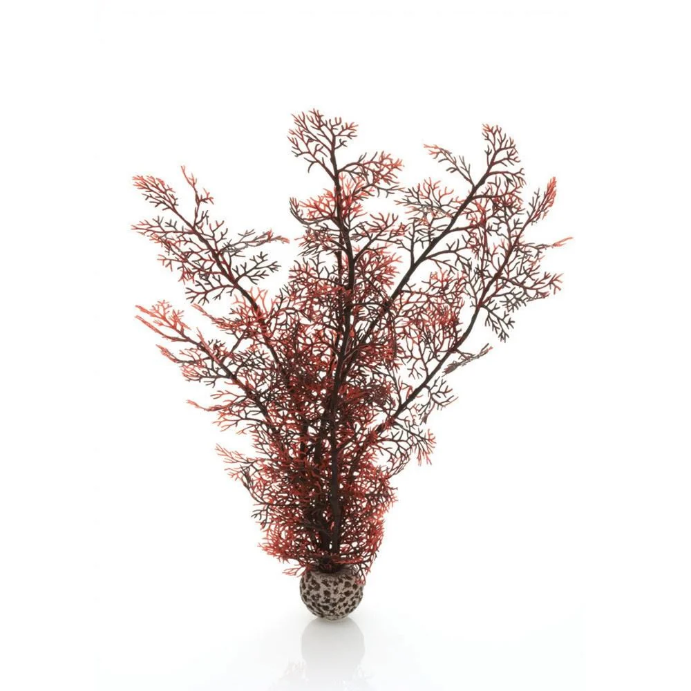 Oase Biorb Sea Fan Decoration Medium