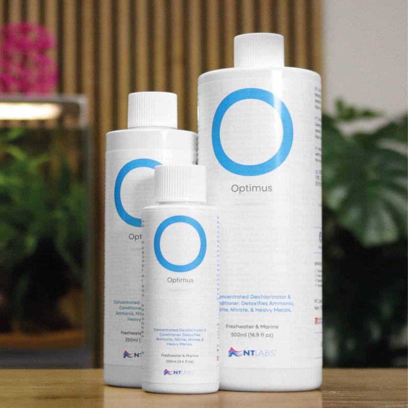 NT Labs Optimus 500ml