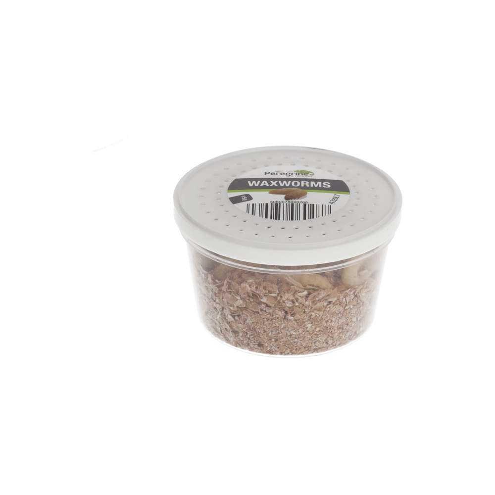 Waxworm Pre Pack