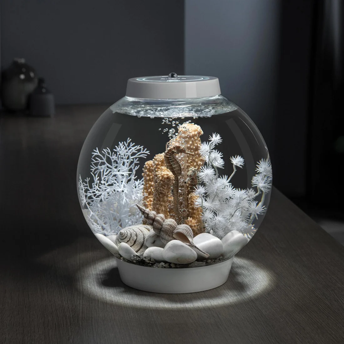 Oase Biorb Sea Fan Decoration Medium