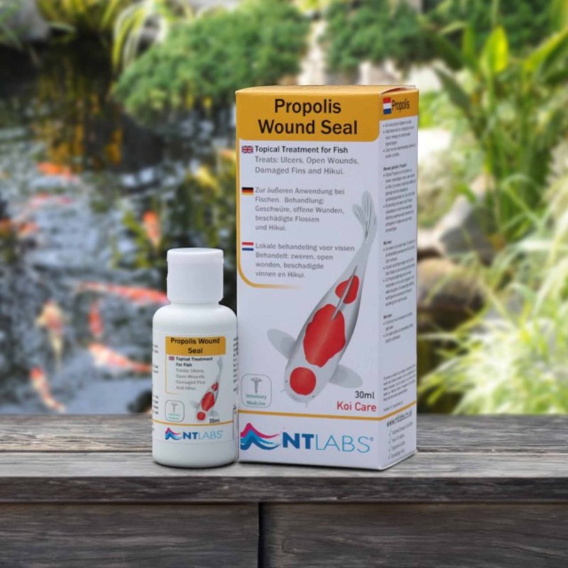 NT Labs Propolis Wound Seal 30ml