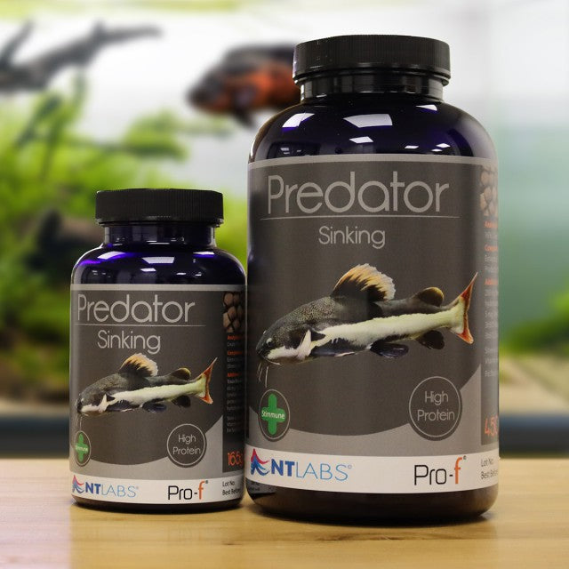 NT Labs Predator Sinking 165g