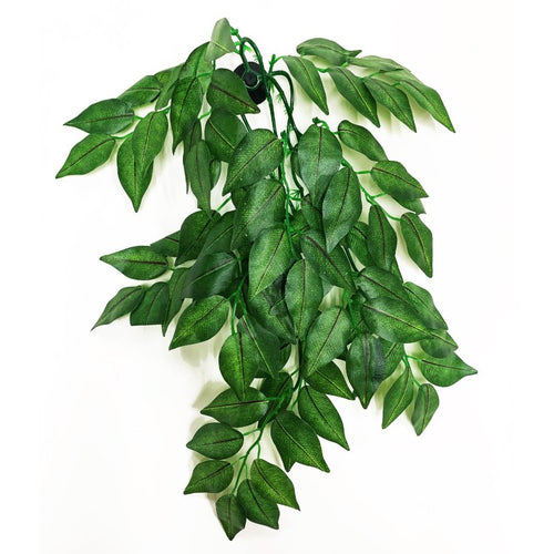 Betta Terra Reptile Decor Vine
