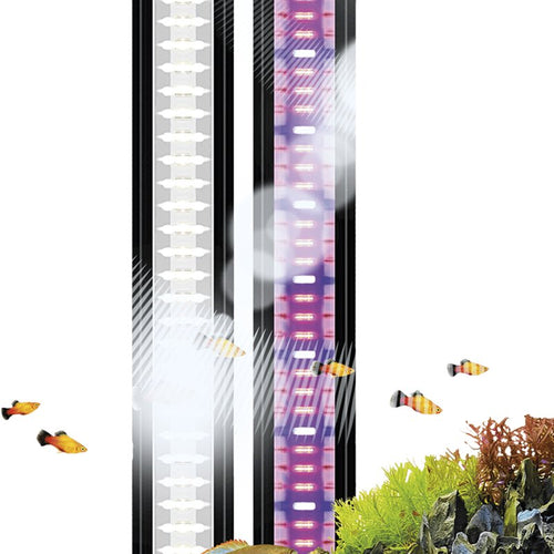 Ciano CLE120 Lighting 120-140cm