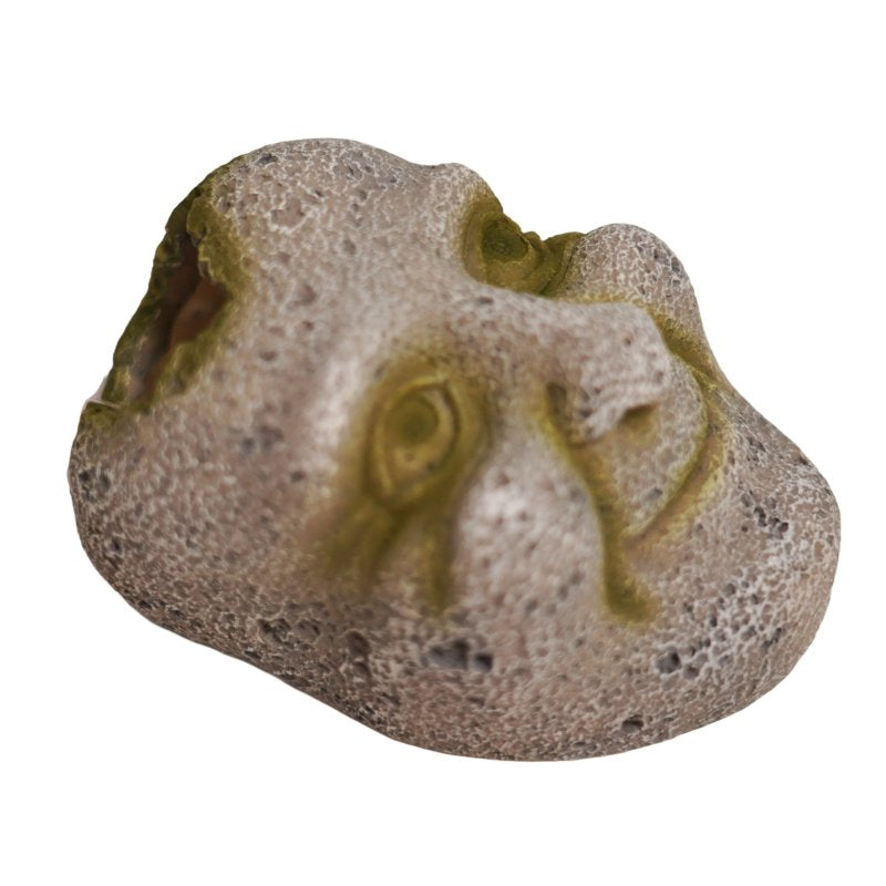 Betta Stone Face