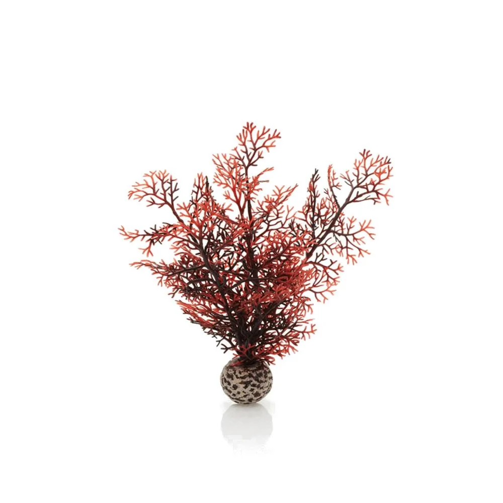 Oase Biorb Sea Fan Decoration Small