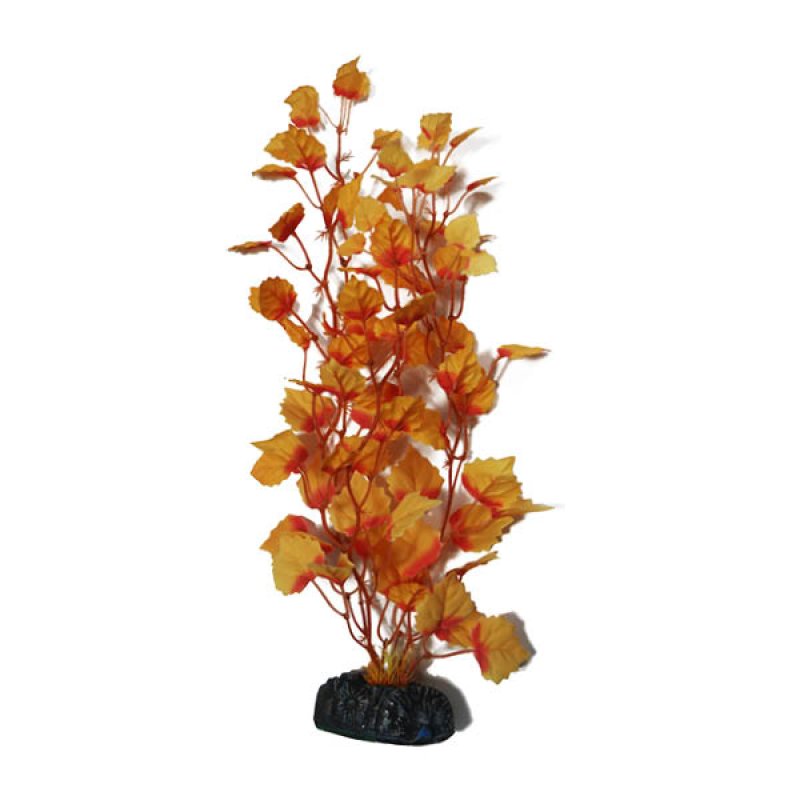 Betta Choice 40cm Silk Orange Plant