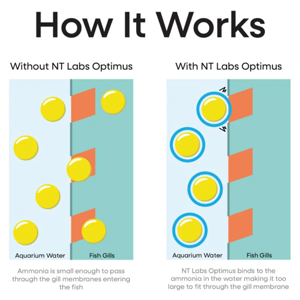 NT Labs Optimus 100ml