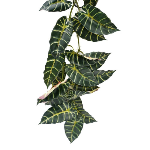 Betta Terra Reptile Decor Vine
