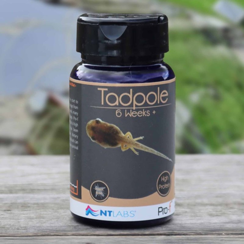 NT Labs Tadpole 6 Weeks +
