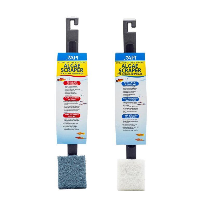 API Algae Scraper Glass