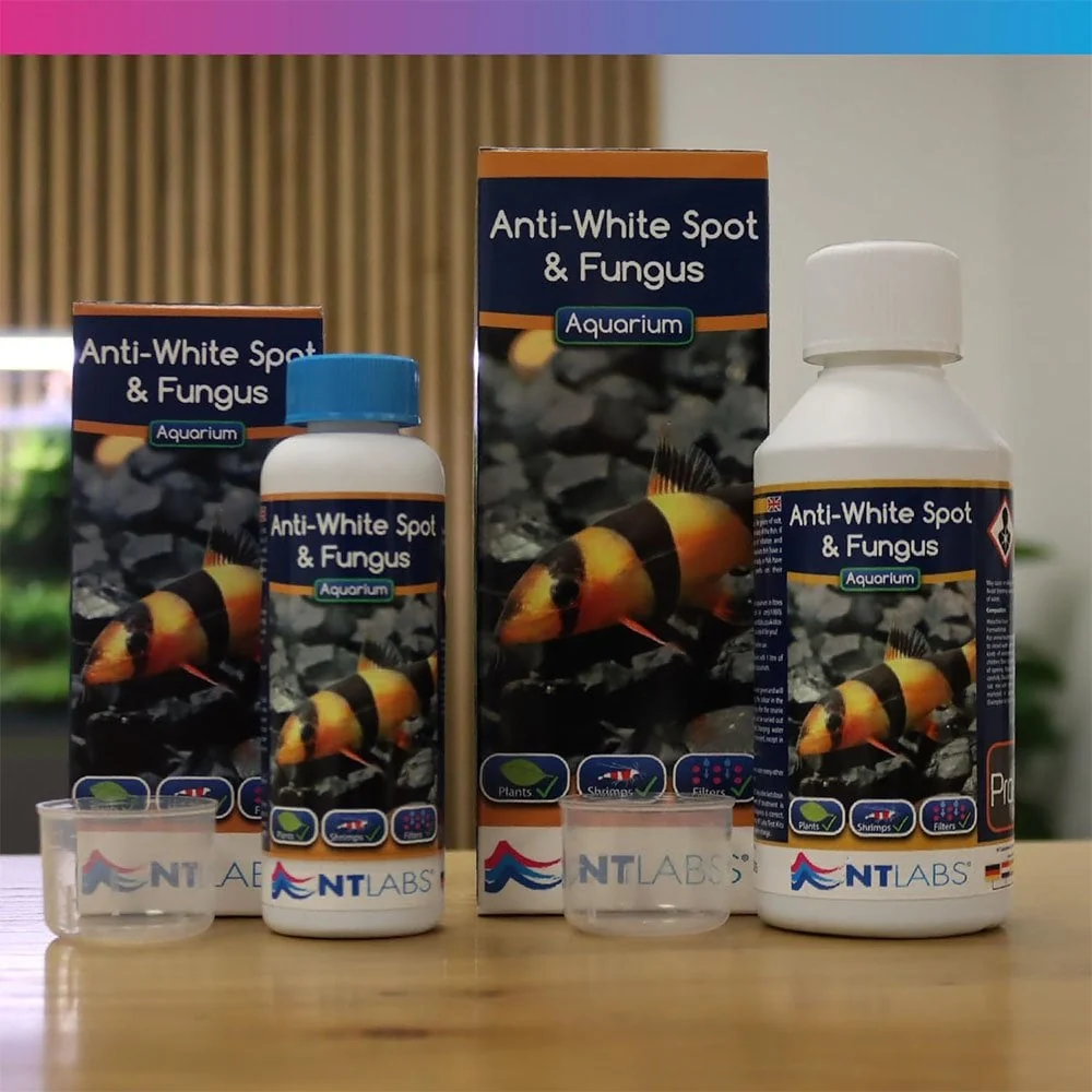 NT Labs Anti-White Spot & Fungus 250ml