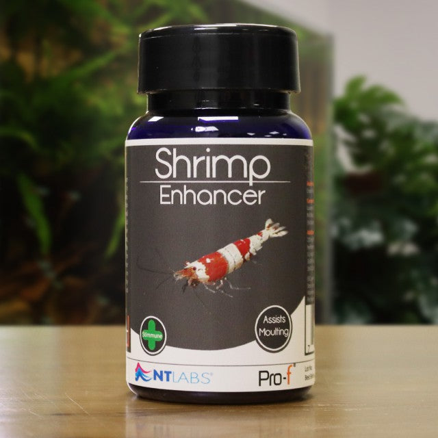 NT Labs Shrimp Enhancer 40g