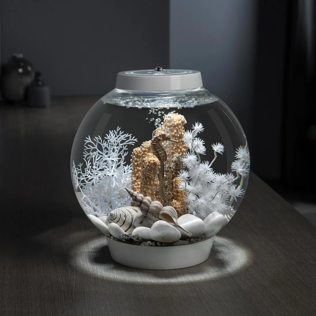 Oase Biorb Sea Fan Decoration Small
