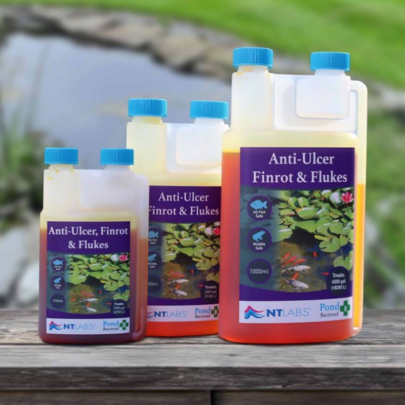NT Labs Anti-Ulcer Finrot & Flukes 1L