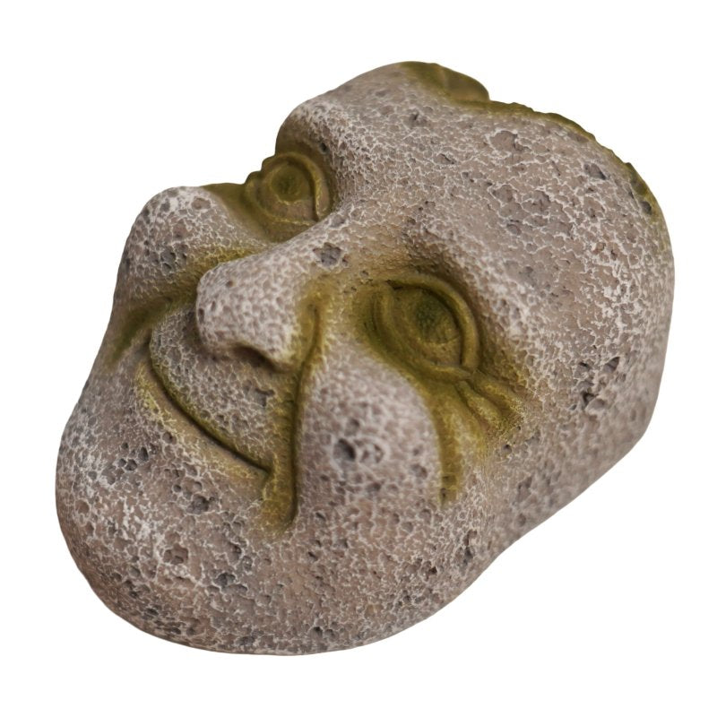 Betta Stone Face