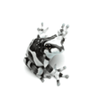 Amazon Milk Frog