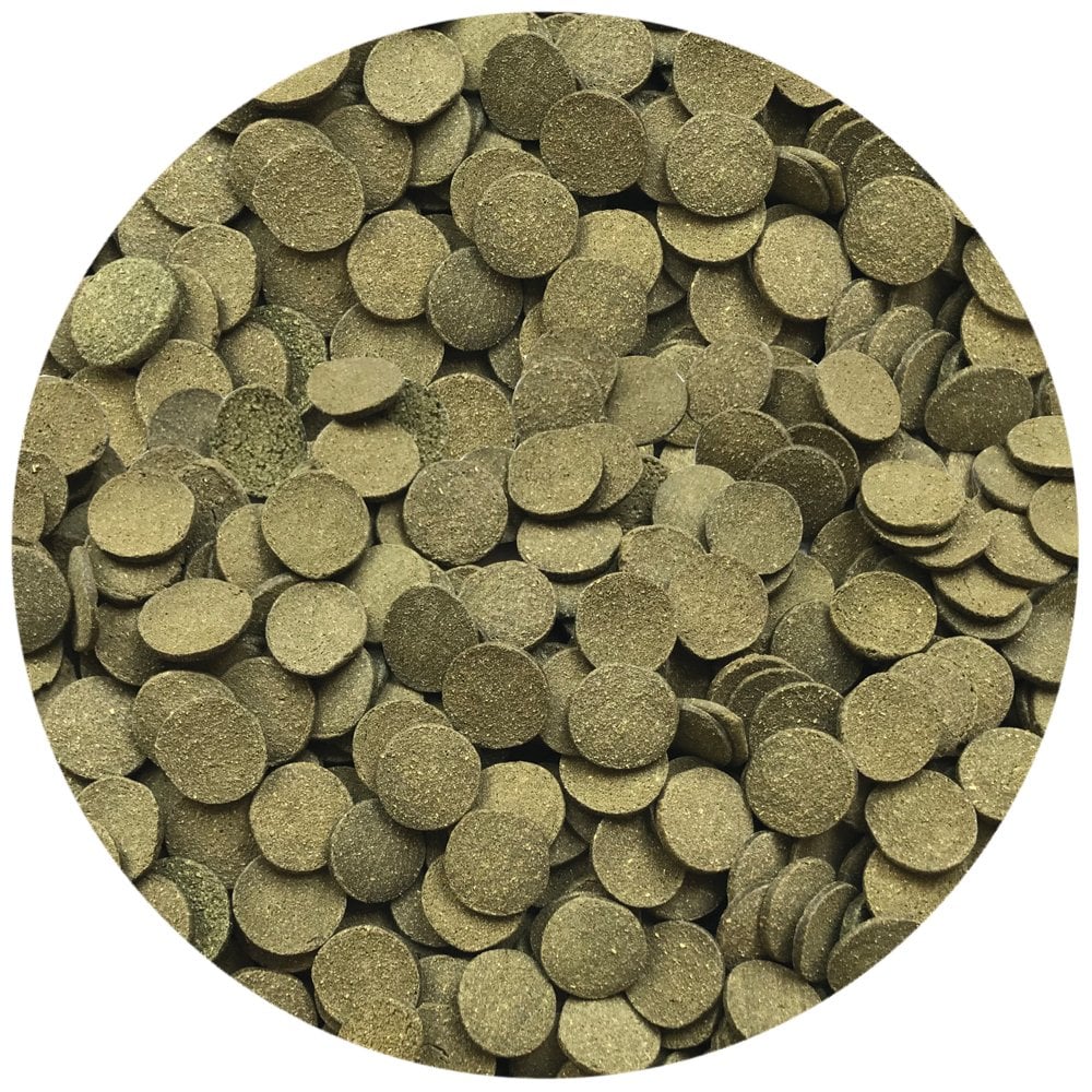 Fluval Bug Bites Algae Crisps 40g