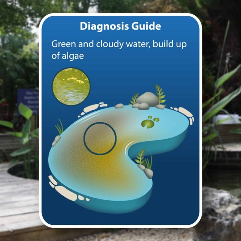 NT Labs Clears Green & Cloudy Water 1L