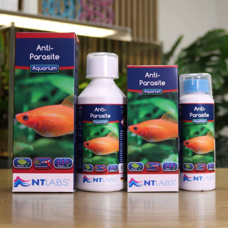 NT Labs Anti-Parasite 100ml