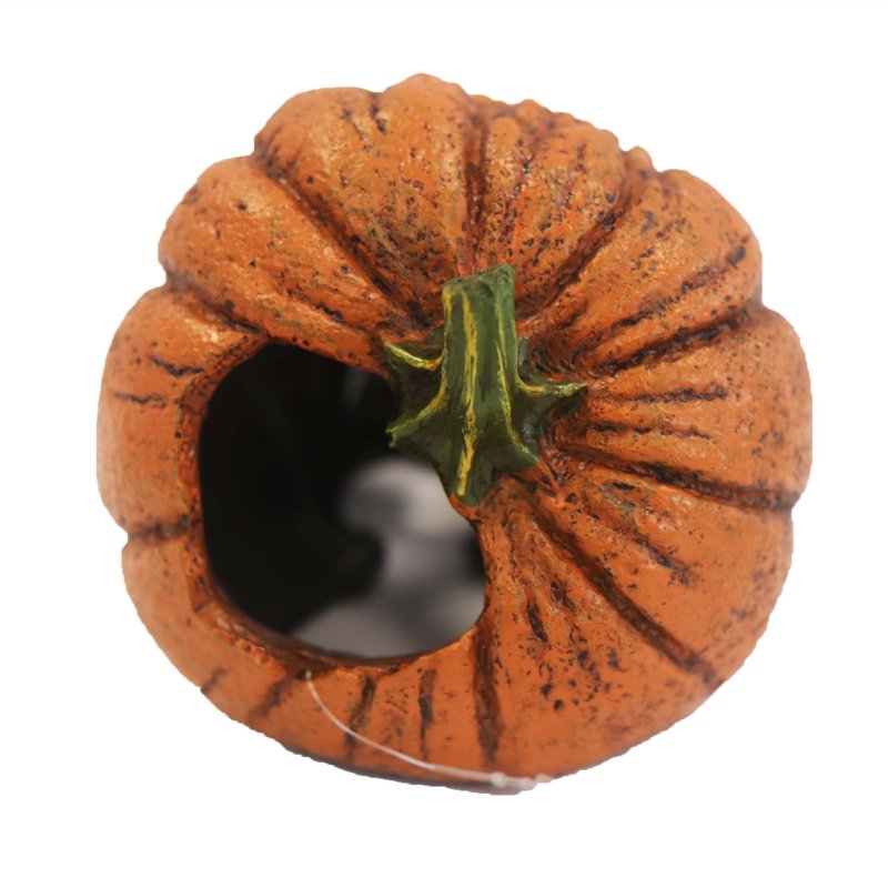 Betta Halloween Pumpkin Skull