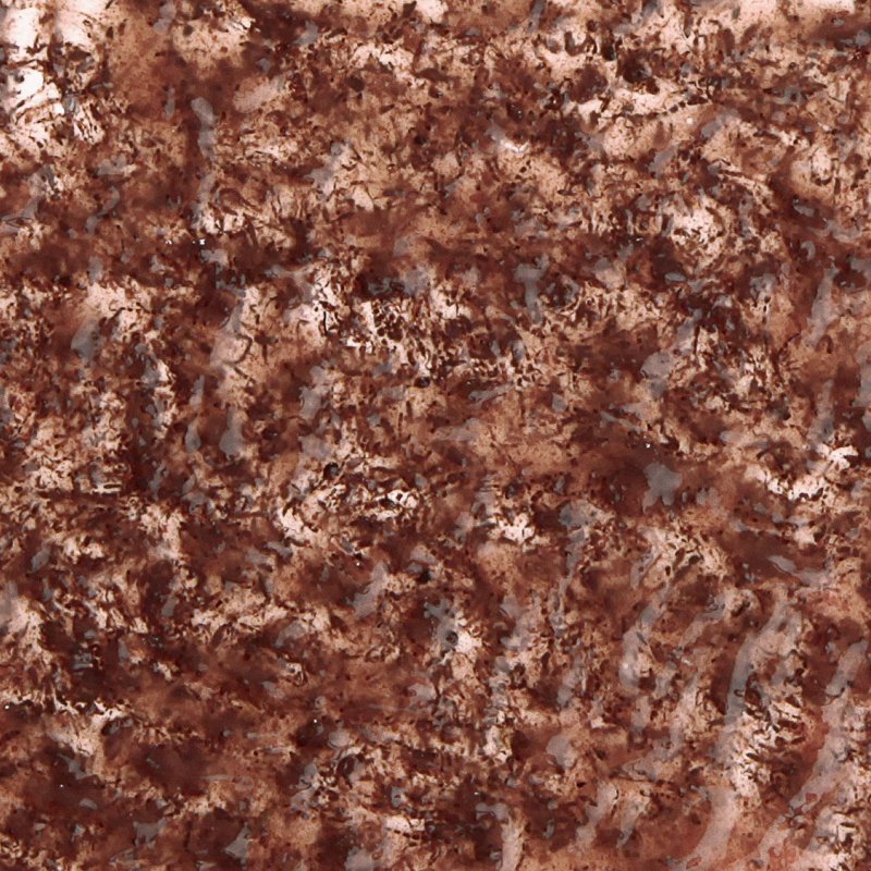 Tetra FreshDelica Bloodworm 48g