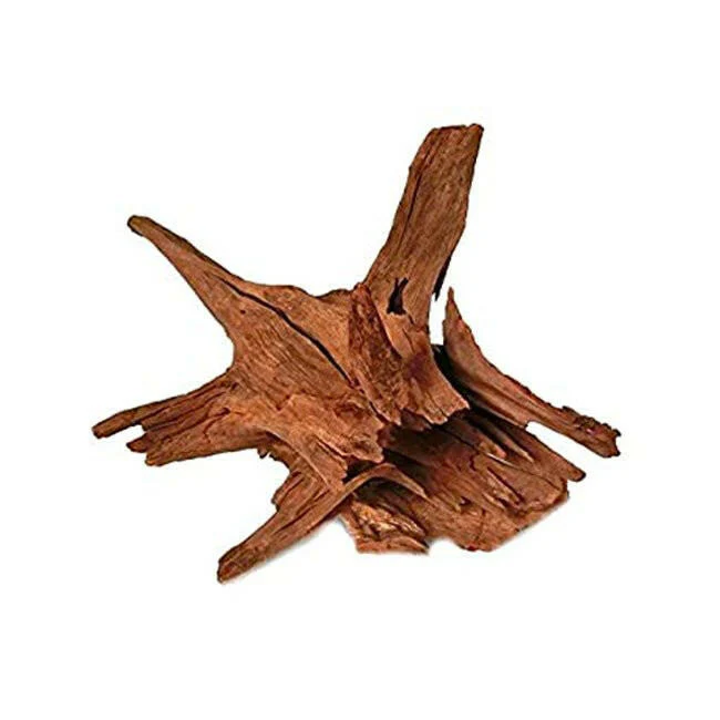 Corbo Catfish Root XS