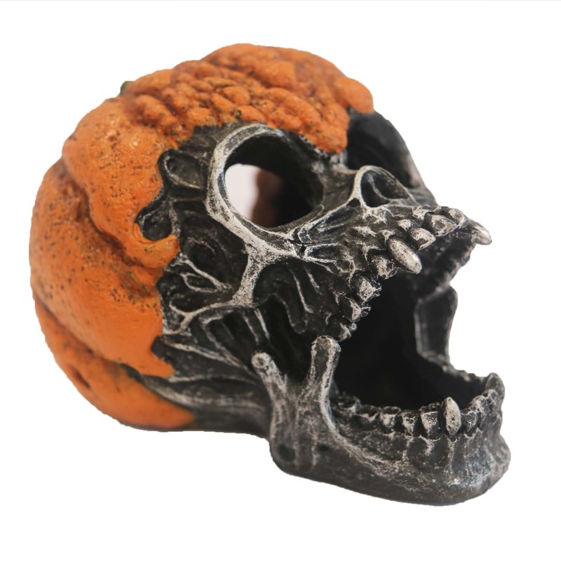 Betta Halloween Pumpkin Skull
