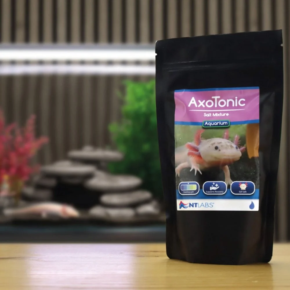 NT Labs AxoTonic 500g