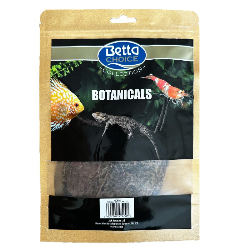Nature 4 Pets Catappa Leaves Medium 15 pack