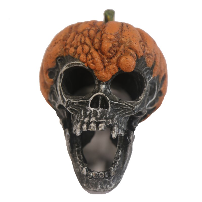 Betta Halloween Pumpkin Skull
