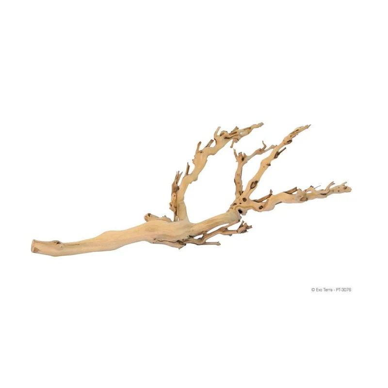 Exo Terra Forest Branch Large