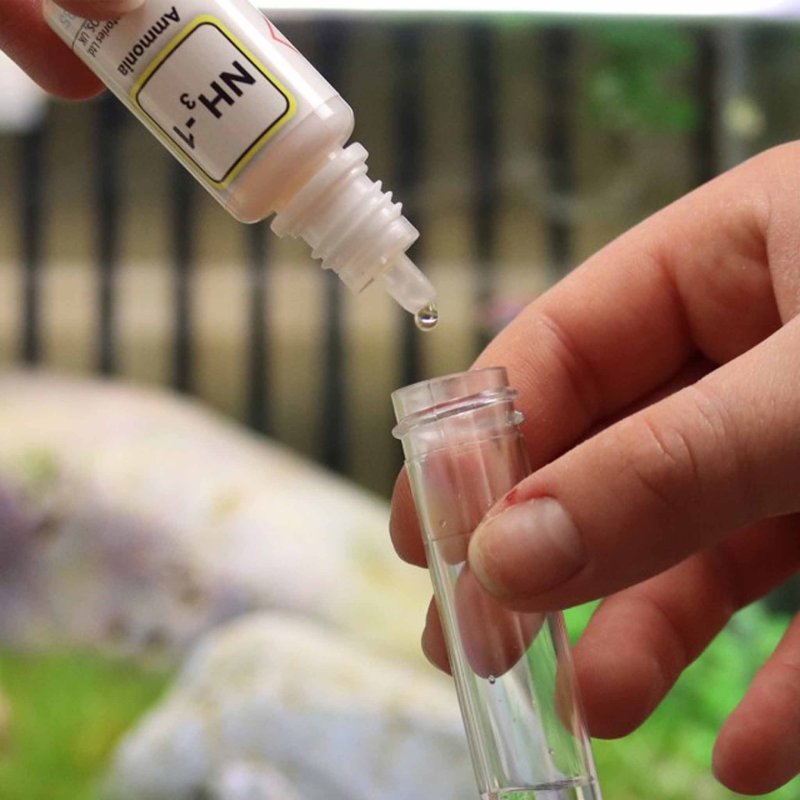 NT Labs Ammonia Test
