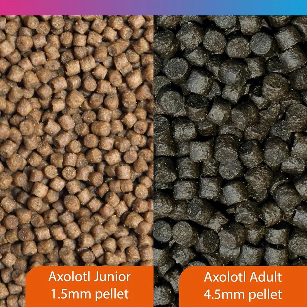 NT Labs Axolotl Junior Pellet 60g
