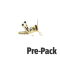 Medium Locusts Pre Pack