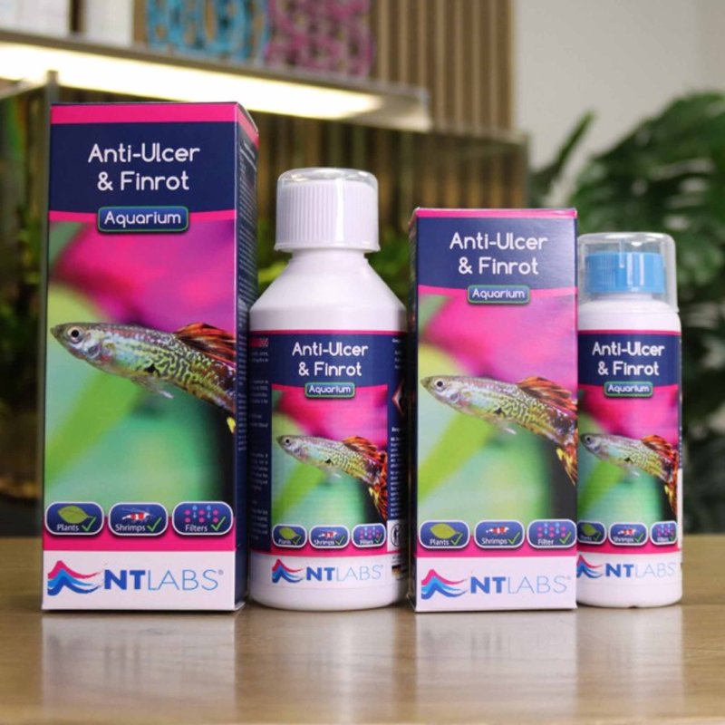 NT Labs Anti-Ulcer & Finrot 100ml