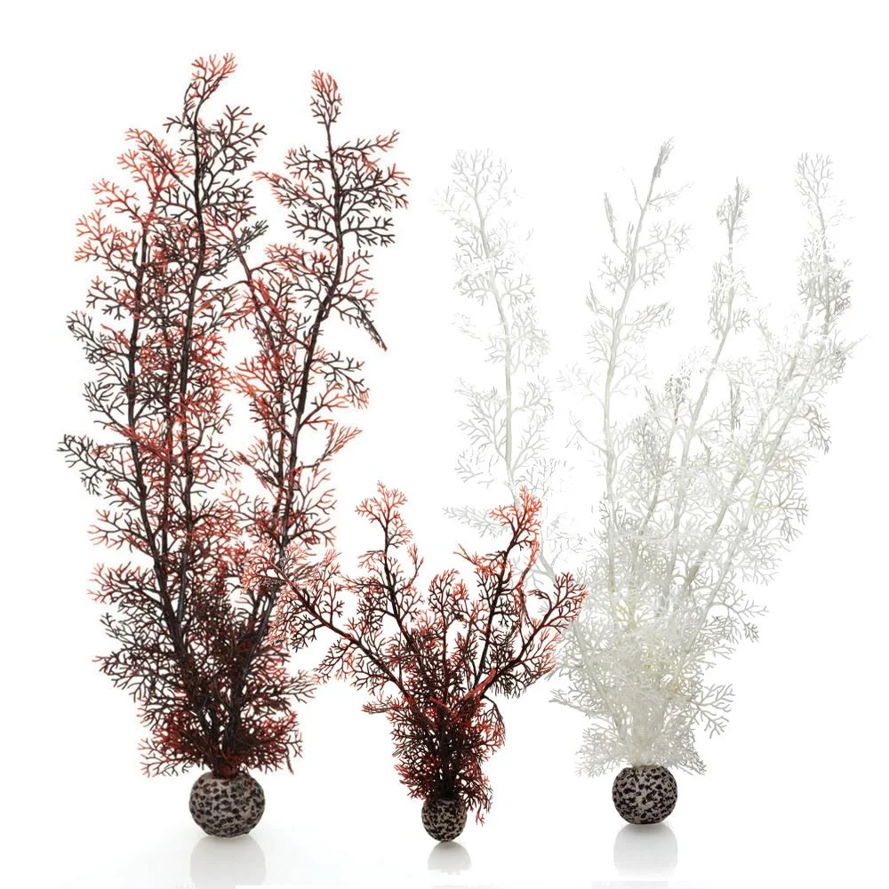 Oase Biorb Sea Fan Decoration Small