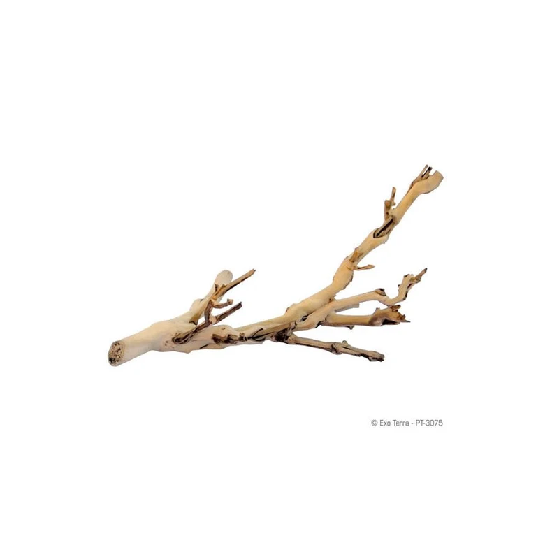 Exo Terra Forest Branch Large