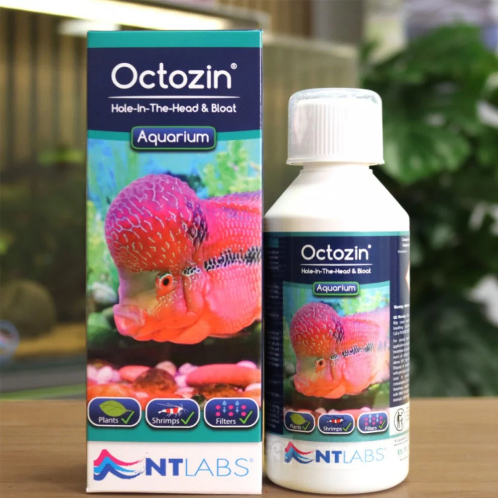 NT Labs Octozin 250ml
