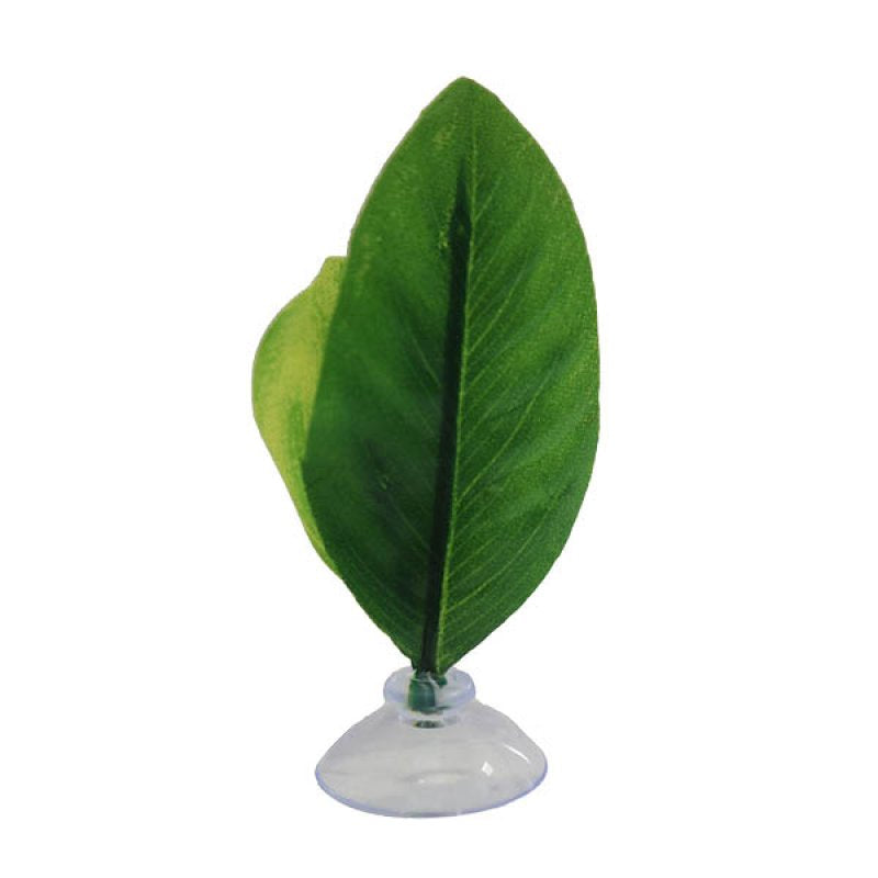 Betta Choice Leaf with Suction Cup